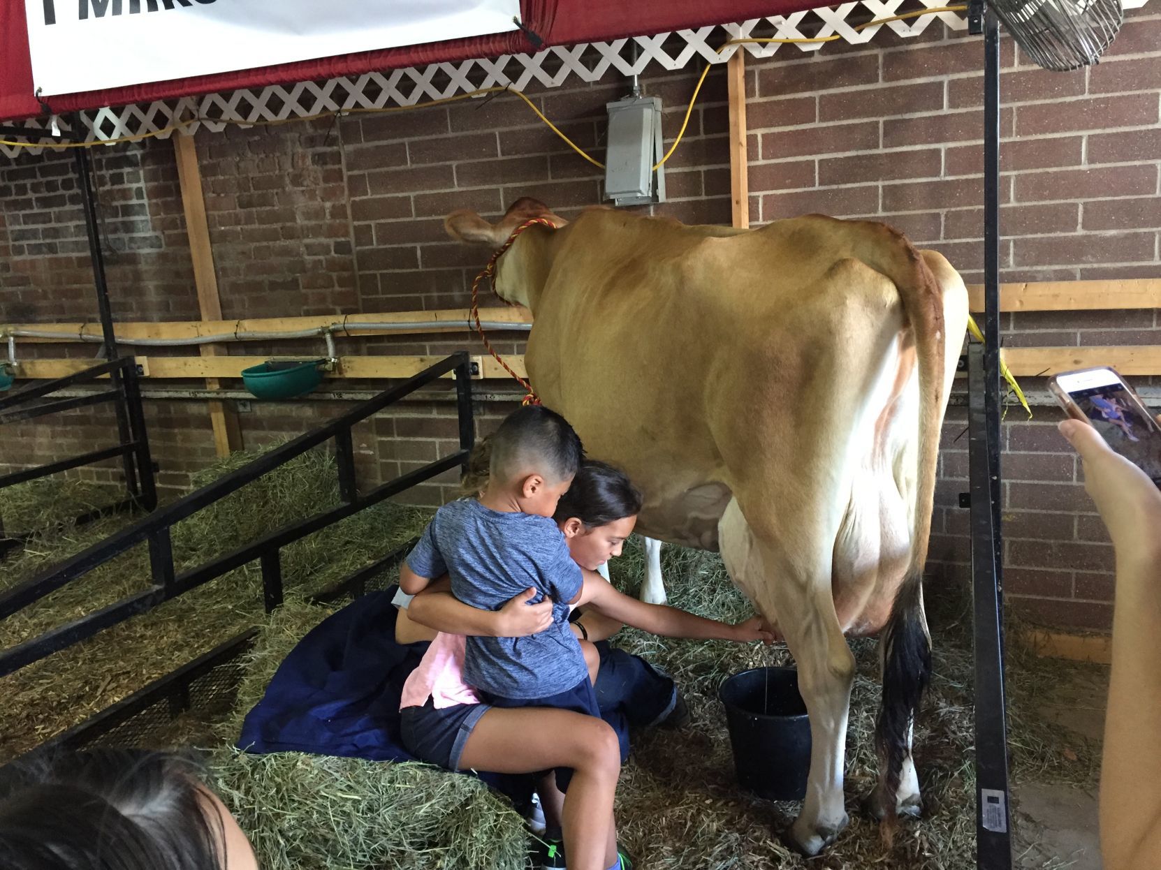 081319ho-state-fair-4
